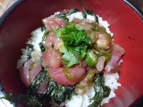 マグロめかぶのっけどん